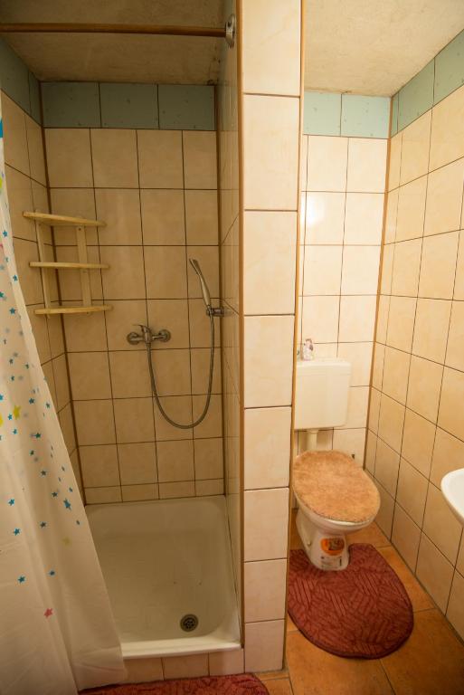 łazienka z prysznicem i toaletą w obiekcie Pokoje u Cekusa w mieście Białka Tatrzanska