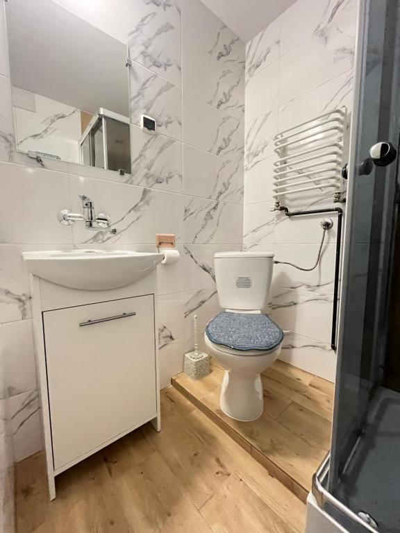 łazienka z umywalką, toaletą, lustrem i prysznicem w obiekcie Pokoje u Cekusa w mieście Białka Tatrzanska