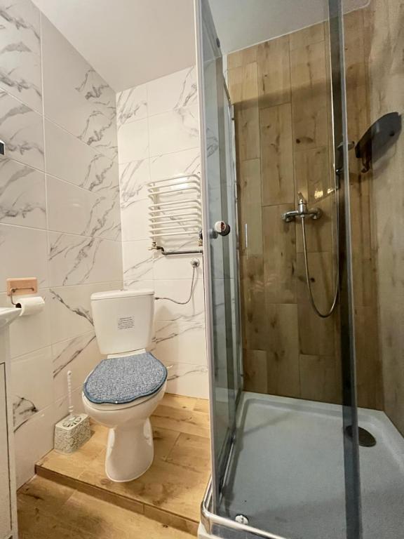 łazienka z toaletą, umywalką, lustrem i prysznicem w obiekcie Pokoje u Cekusa w mieście Białka Tatrzanska