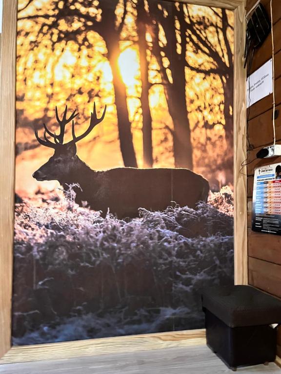 fototapeta w obiekcie Pokoje u Cekusa w mieście Białka Tatrzanska