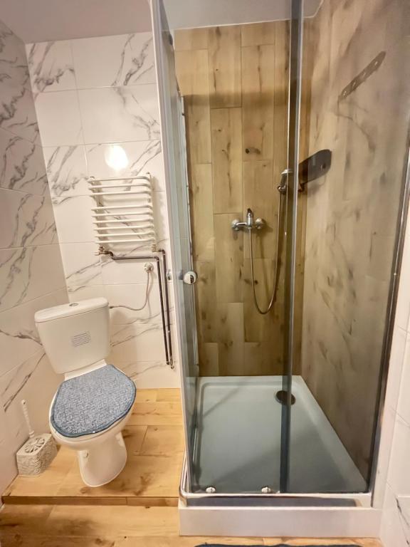 łazienka z toaletą i prysznicem  w obiekcie Pokoje u Cekusa w mieście Białka Tatrzanska