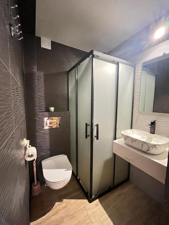 łazienka z prysznicem, toaletą, umywalką i lustrem w obiekcie Willa Pod Jasieniami w mieście Białka Tatrzanska