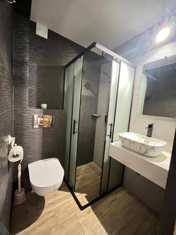 łazienka z prysznicem, toaletą, umywalką i lustrem w obiekcie Willa Pod Jasieniami w mieście Białka Tatrzanska