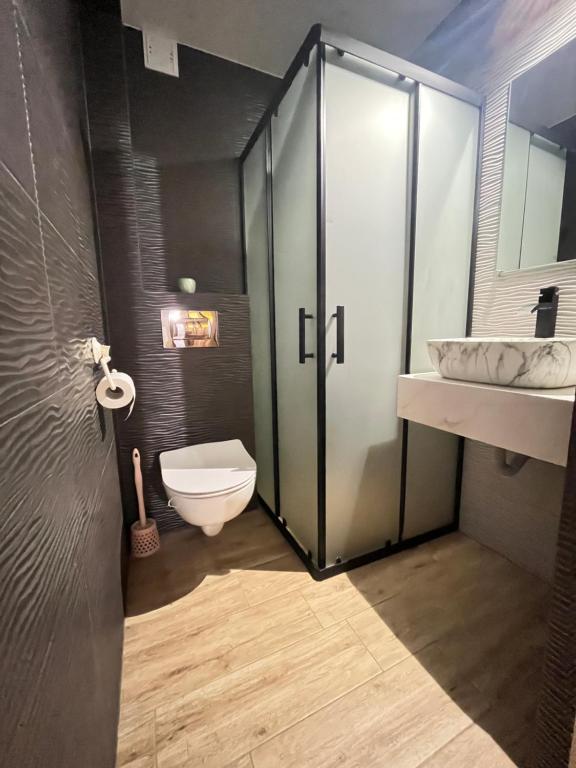 łazienka z prysznicem, toaletą, umywalką i lustrem w obiekcie Willa Pod Jasieniami w mieście Białka Tatrzanska